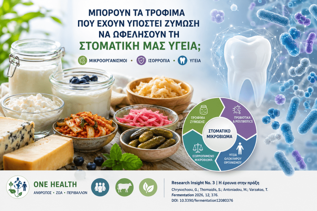 Τρόφιμα ζύμωσης και στοματική υγεία | Μικροβίωμα και One Health Τρόφιμα ζύμωσης και στοματική υγεία – fermented foods, προβιοτικά, postbiotics και η επίδρασή τους στο στοματικό μικροβίωμα.